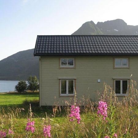 Charming House By The Sea, Lofoten! Laupstad Bagian luar foto