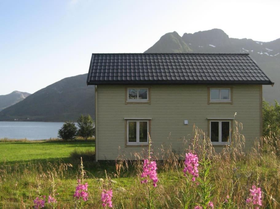 Charming House By The Sea, Lofoten! Laupstad Bagian luar foto