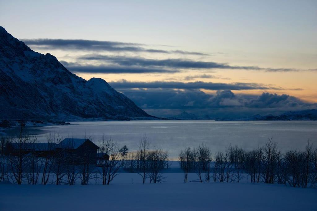 Charming House By The Sea, Lofoten! Laupstad Bagian luar foto
