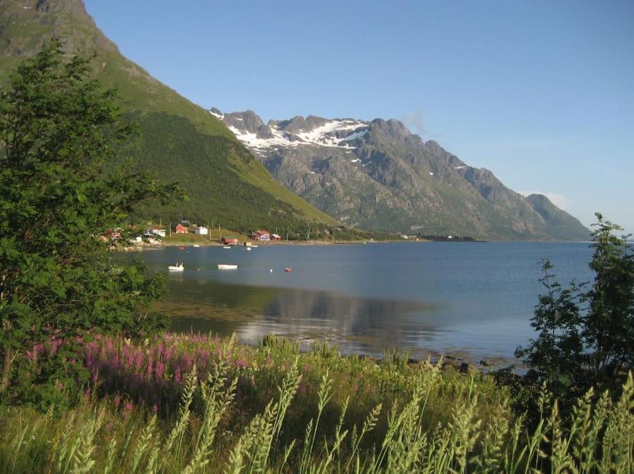 Charming House By The Sea, Lofoten! Laupstad Bagian luar foto